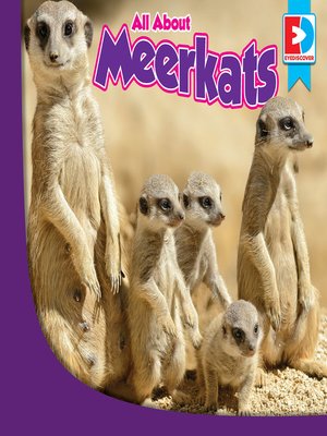 cover image of All About Meerkats
